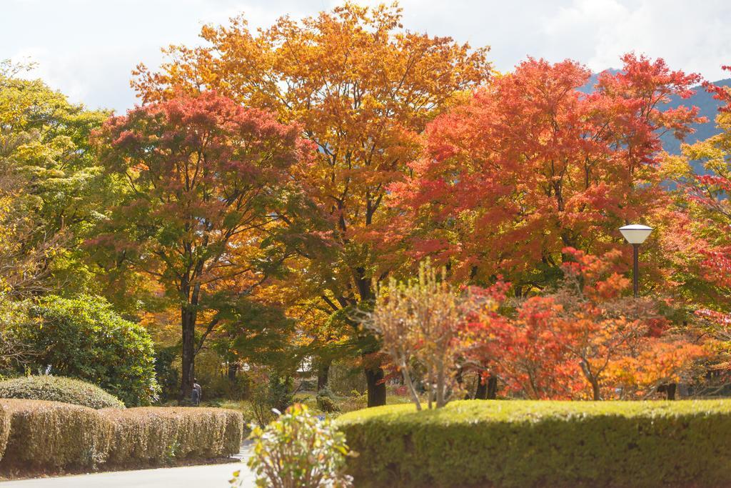 Hakone Lake Hotel Экстерьер фото